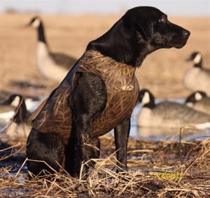  Neopren hundevest fra Avery